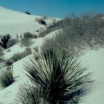 White Sands National Park, New Mexico.