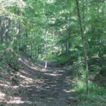 A remnant of the original Cherokee Trail of Tears near Mantle Rock in northwestern Kentucky. This is where thousands of Cherokees, imprisoned by the American army, were forced to migrate from eastern Tennessee to what is now eastern Oklahoma in 1838.