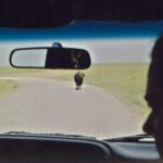 A bison wanders the roadway in the Osage Preserve run by The Nature Conservancy. View from inside the car.