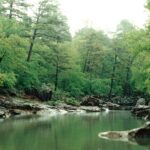 Deciduous forest mixed with pines, Robbers Cave State Park, Oklahoma.