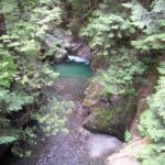 Lynn Canyon north of Vancouver, British Columbia.