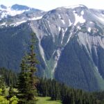 Tatoosh Mountains near Mt. Rainier, subalpine zone.