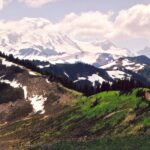 Mt. Baker, a volcano in Washington.