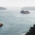 Washington coast islands and trees.